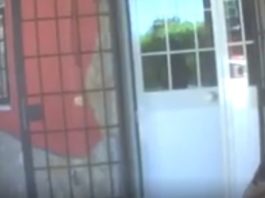 CASAMONICA SCARCERATI PER L’EMERGENZA VIRUS: IL VIDEO ESCLUSIVO DELL’INCONTRO CON I BOSS LIBERATI E LA GIORNALISTA ANGELA CAMUSO, CHE E’ ENTRATA NELLE LORO VILLE BUNKER. PER “FUORI DAL CORO’ RETE 4